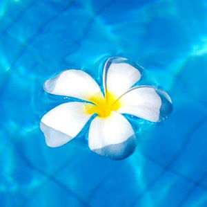 Meet your Posher, Sayaka